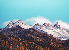 山东男篮分享陈林坚首秀精彩集锦：“林”机应变，“坚”不可摧