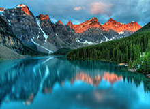 山东男篮分享陈林坚首秀精彩集锦：“林”机应变，“坚”不可摧